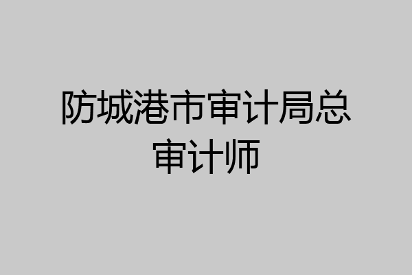 防城港市审计局总审计师