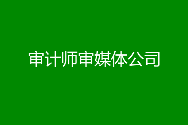 审计师审媒体公司