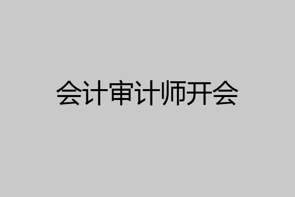 会计审计师开会
