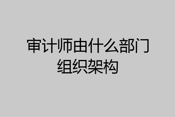 审计师由什么部门组织架构