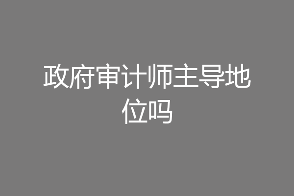 政府审计师主导地位吗