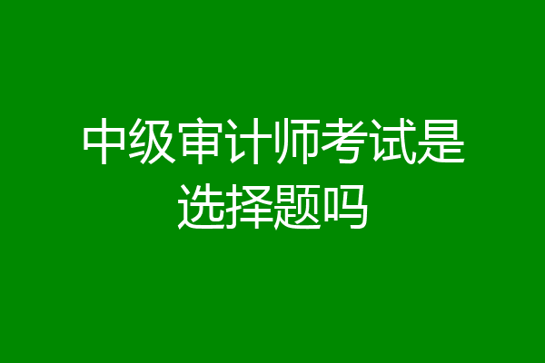 中级审计师考试是选择题吗
