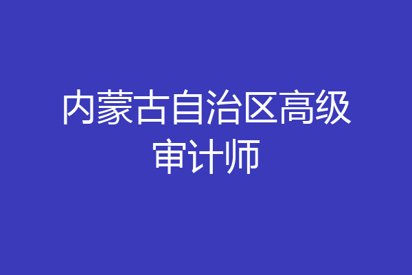 内蒙古自治区高级审计师