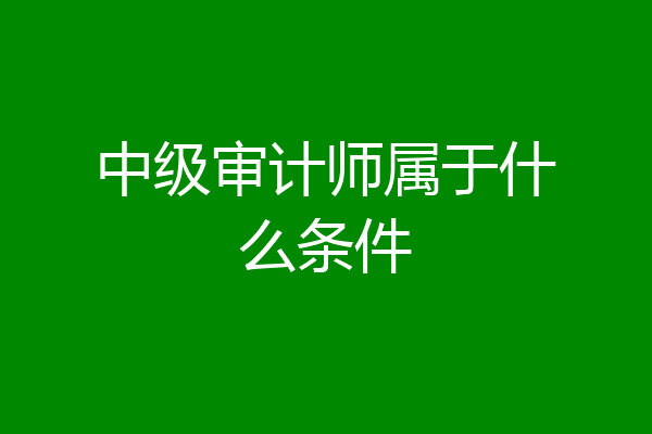 中级审计师属于什么条件