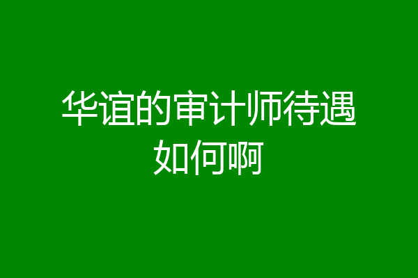 华谊的审计师待遇如何啊