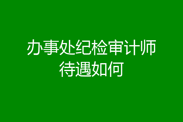 办事处纪检审计师待遇如何