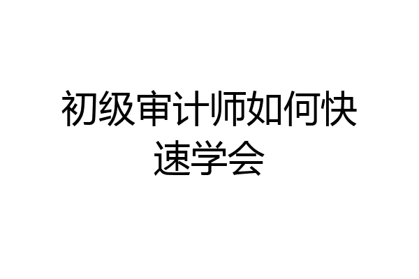 初级审计师如何快速学会