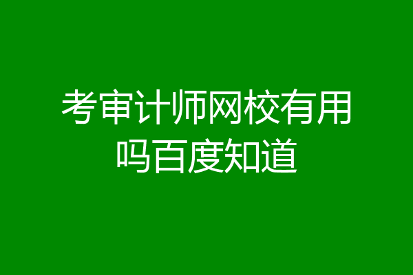 考审计师网校有用吗百度知道