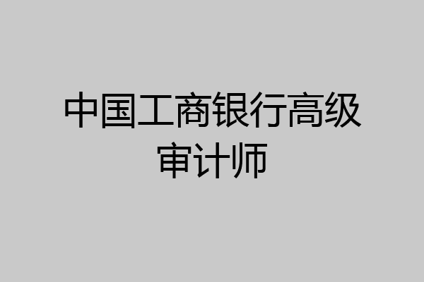 中国工商银行高级审计师