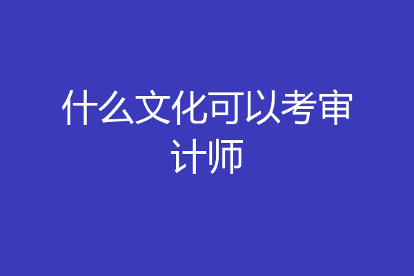 什么文化可以考审计师
