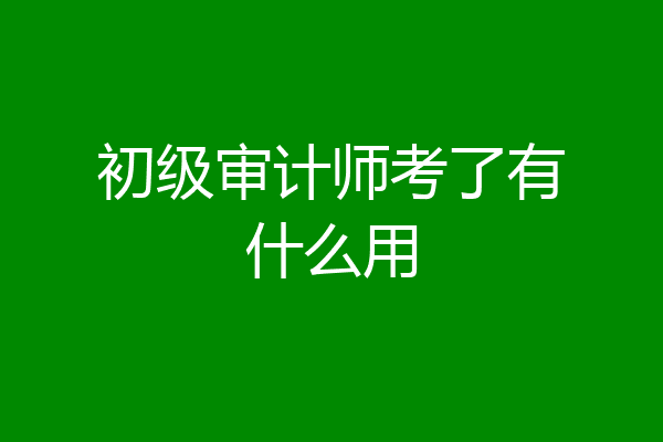 初级审计师考了有什么用