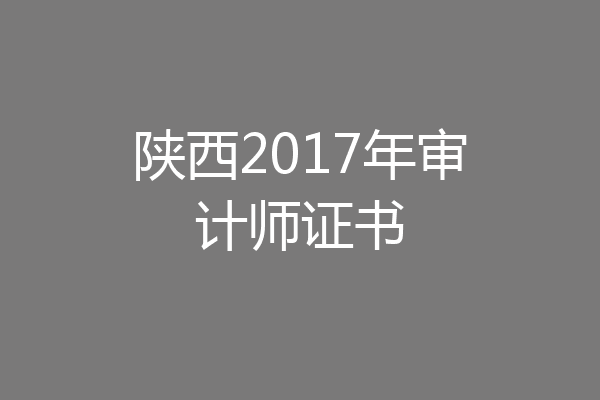 陕西2017年审计师证书