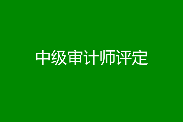 中级审计师评定
