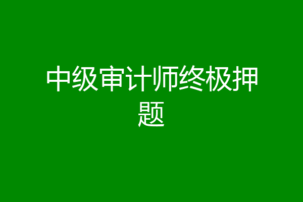 中级审计师终极押题