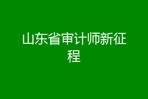山东省审计师新征程