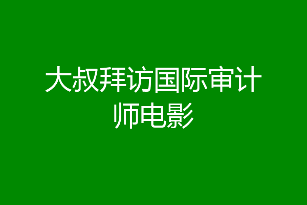 大叔拜访国际审计师电影
