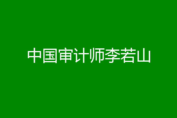 中国审计师李若山