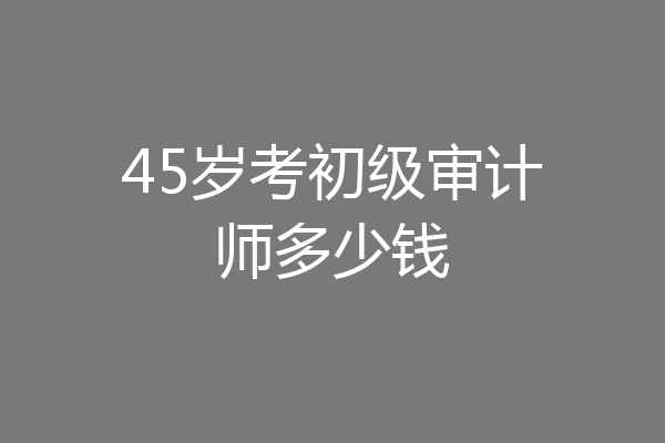 45岁考初级审计师多少钱