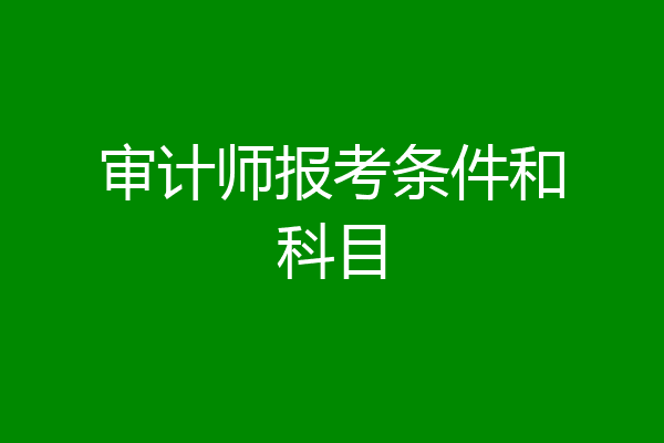审计师报考条件和科目