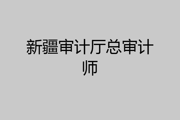 新疆审计厅总审计师