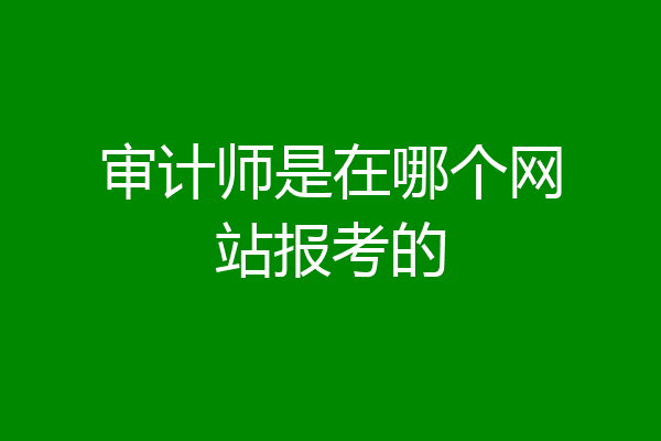 审计师是在哪个网站报考的