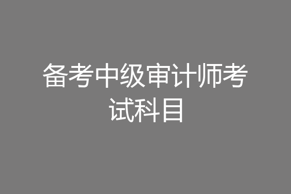 备考中级审计师考试科目