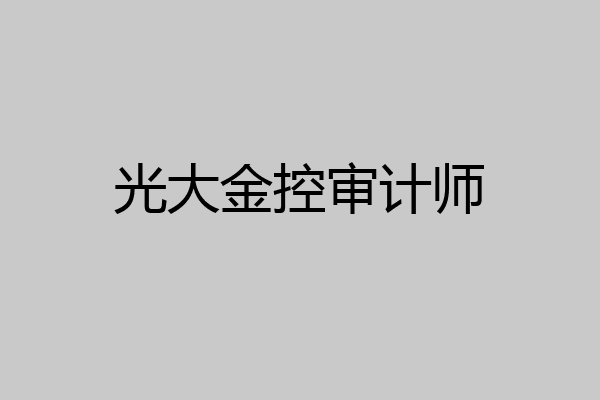 光大金控审计师