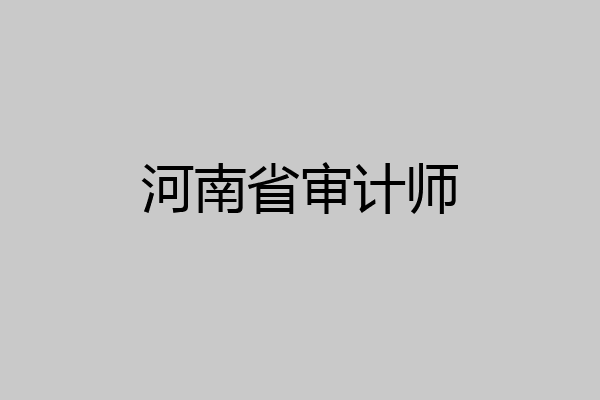 河南省审计师