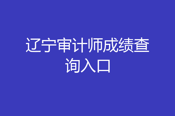 辽宁审计师成绩查询入口