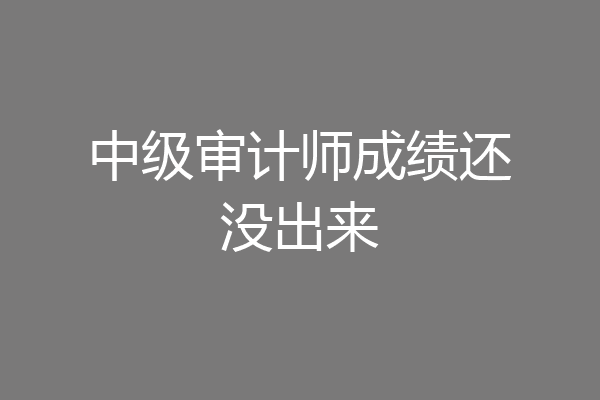 中级审计师成绩还没出来