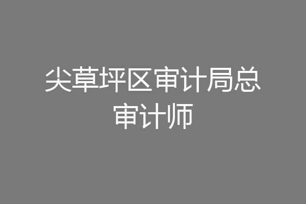 尖草坪区审计局总审计师