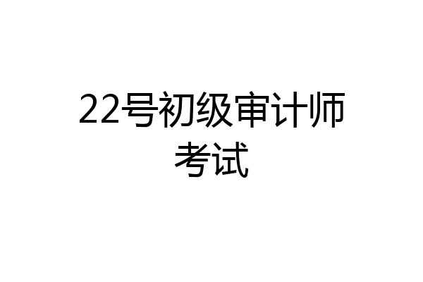 22号初级审计师考试