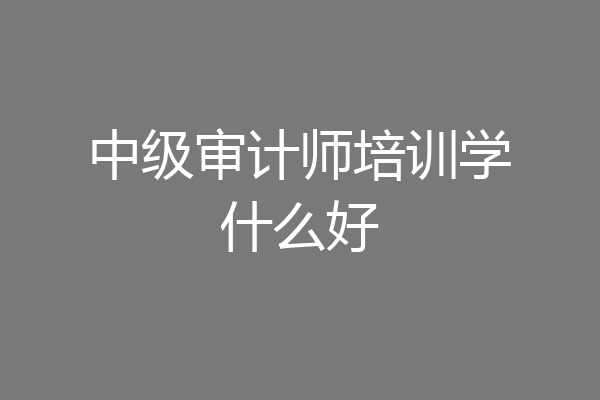 中级审计师培训学什么好