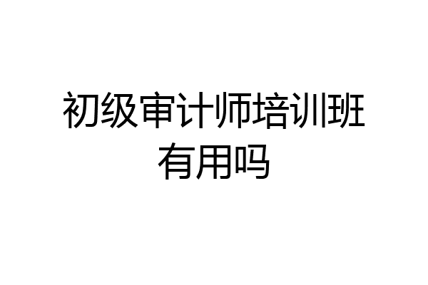 初级审计师培训班有用吗