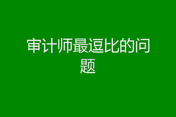 审计师最逗比的问题