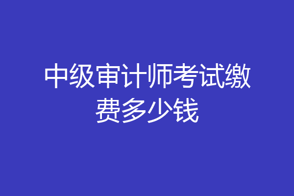 中级审计师考试缴费多少钱