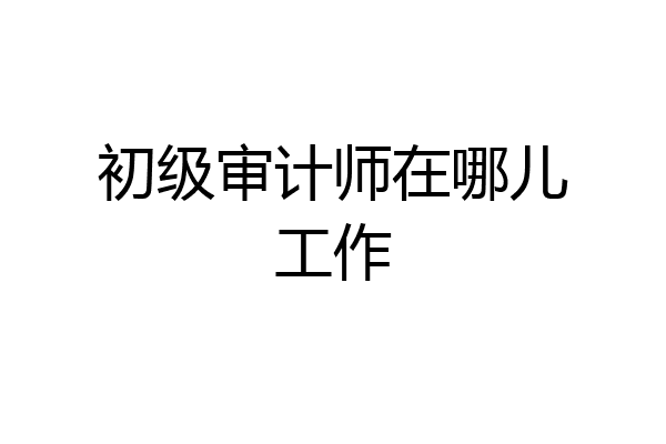 初级审计师在哪儿工作