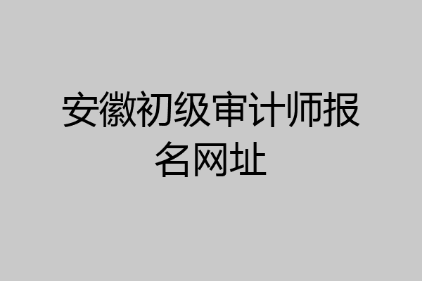 安徽初级审计师报名网址