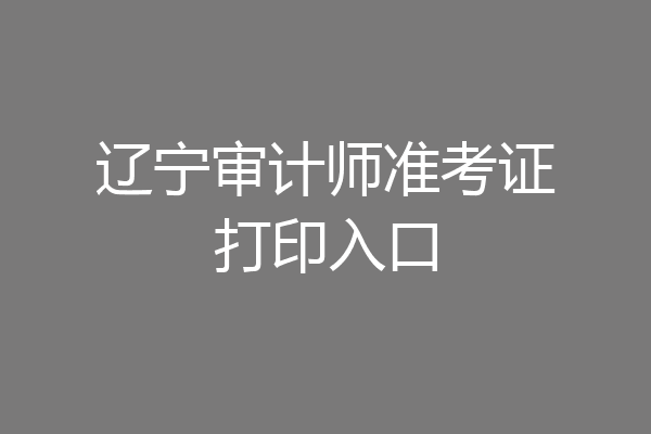 辽宁审计师准考证打印入口