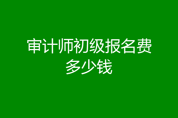 审计师初级报名费多少钱