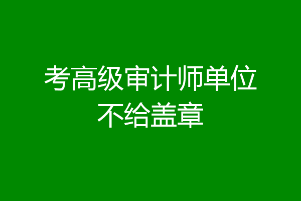 考高级审计师单位不给盖章
