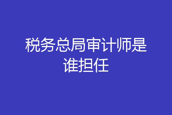 税务总局审计师是谁担任