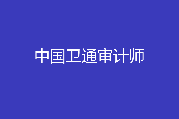 中国卫通审计师