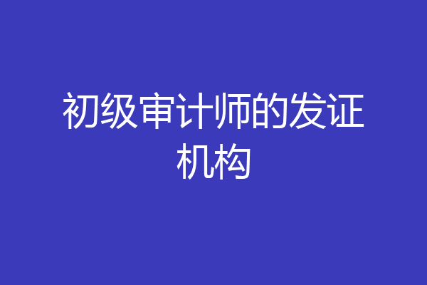 初级审计师的发证机构