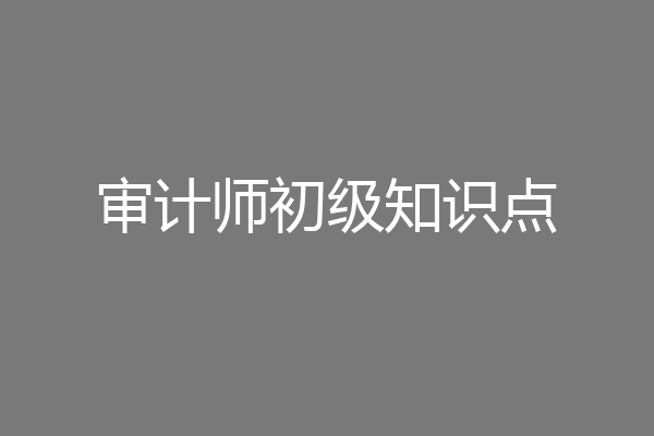 审计师初级知识点
