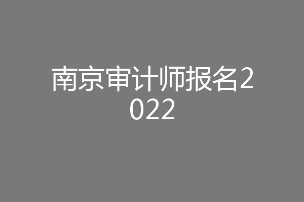 南京审计师报名2022