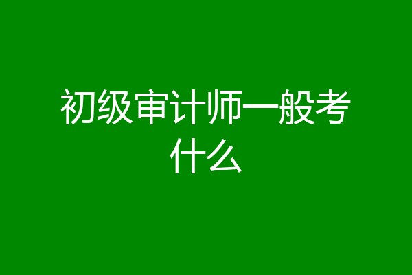 初级审计师一般考什么
