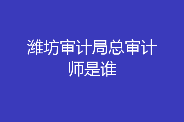 潍坊审计局总审计师是谁