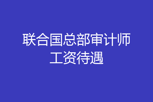 联合国总部审计师工资待遇
