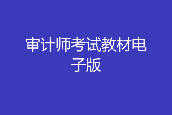 审计师考试教材电子版